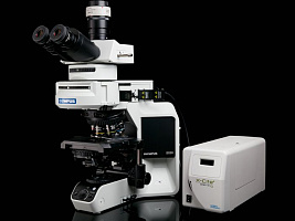 Evident BX43 BX53 флуоресцентный